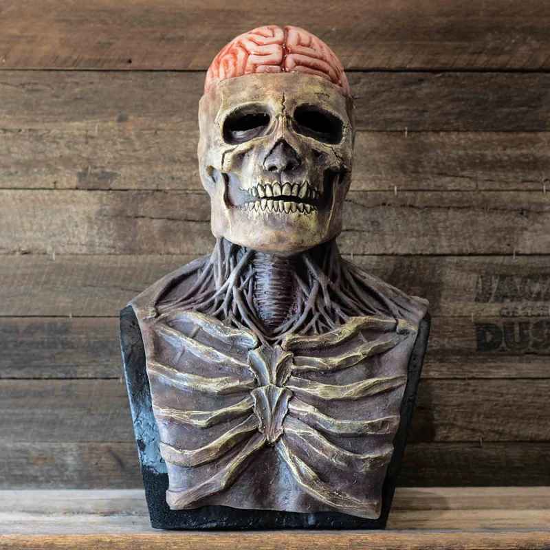 💀 Maschera Teschio Horror in Lattice con Cervello a Vista – Halloween & Cosplay